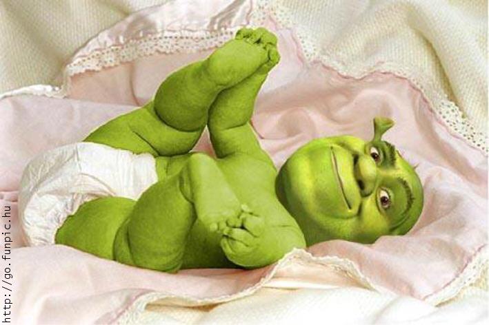 Shrek .jpg